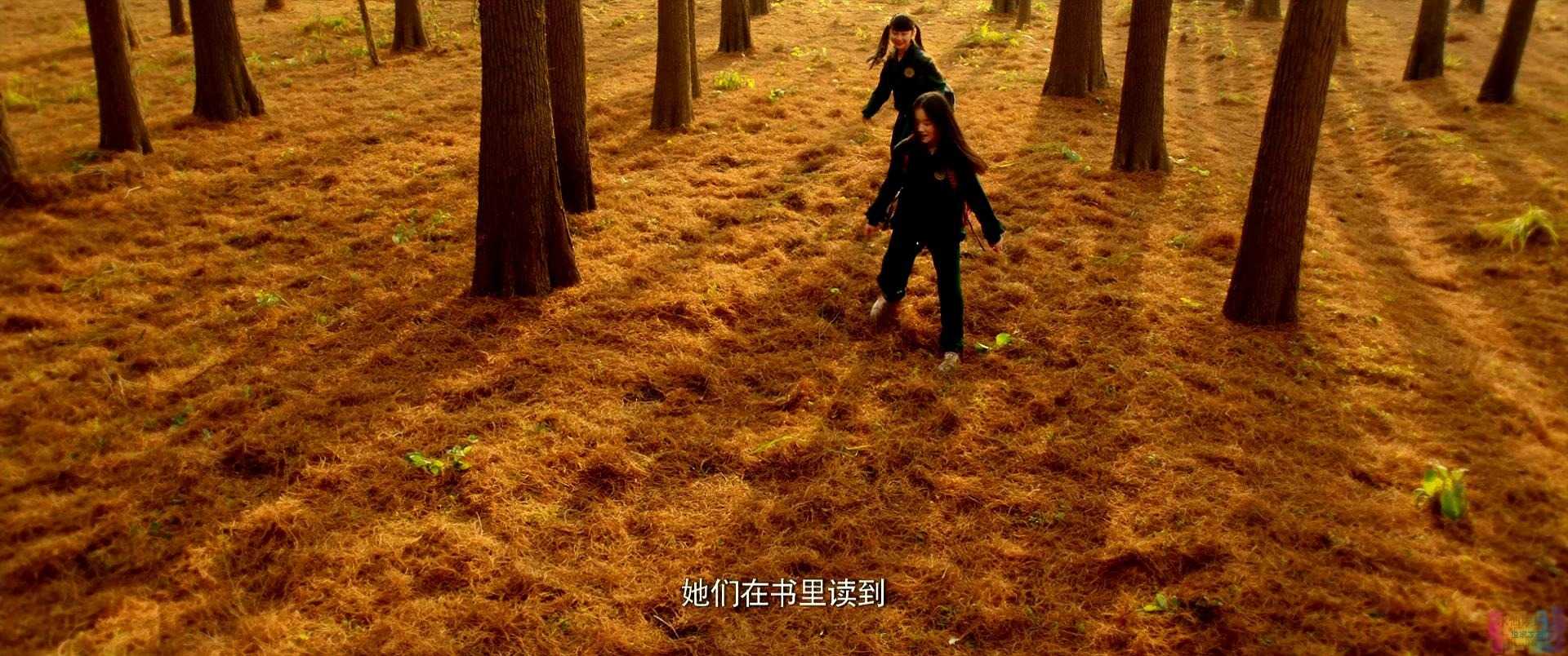 【七月与安生】【超清版.国语中字.720P&1080p.HD-MP4】【2016】 3