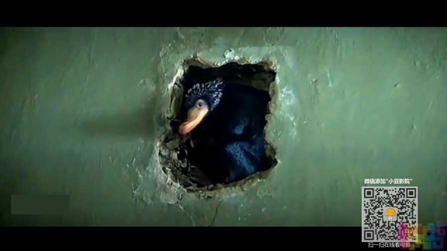 【神奇动物在哪里】【高清晰.HDTC.720P.国语中字】【2016】 2